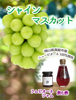シャインマスカット＆ラム・ピオーネジャム＆果実の飲む酢　【9月下旬～発送開始】