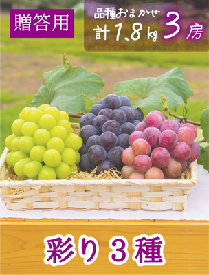 3M-2　[贈答用2kg]　彩り3種ミックス【9月中旬～発送開始】（おすすめ第4位）｜花笑み農園