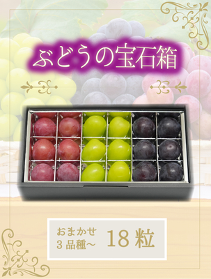 3M-宝18　ブドウの宝石箱3種以上（18粒入り）【9月中旬～発送】