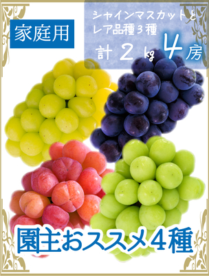 4M-2R　[家庭用 計4房 (2kg)]　園主おススメ4種【9月中下旬～発送開始】