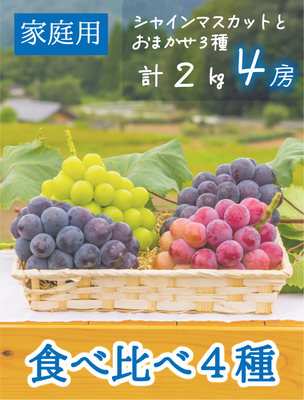 4M-2　[家庭用 計4房 (2kg)]　食べ比べ4種ミックス【9月中旬～発送開始】