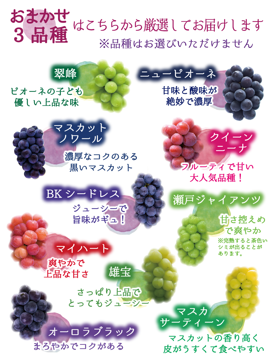 4M-2 [贈答用 計4房 (2kg)] 食べ比べ4種ミックス【9月中旬～発送開始