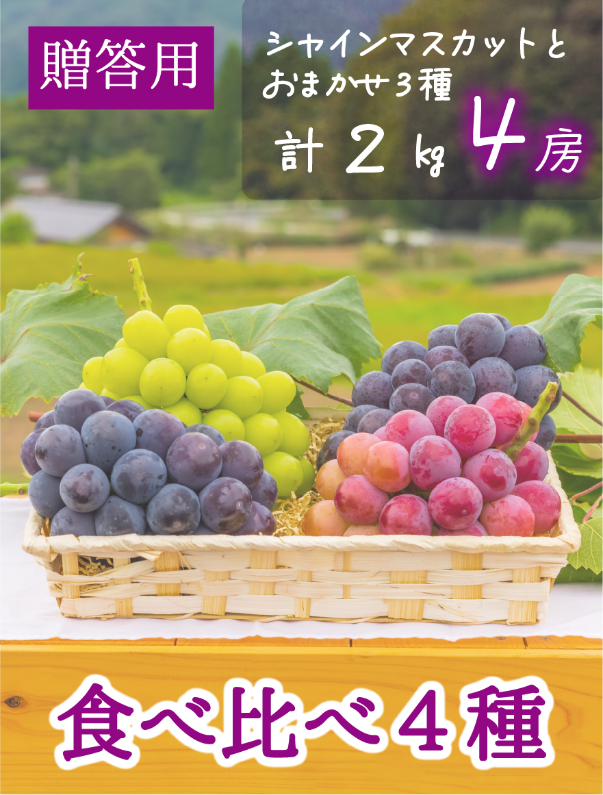 4M-2 [贈答用 計4房 (2kg)] 食べ比べ4種ミックス【9月中旬～発送開始