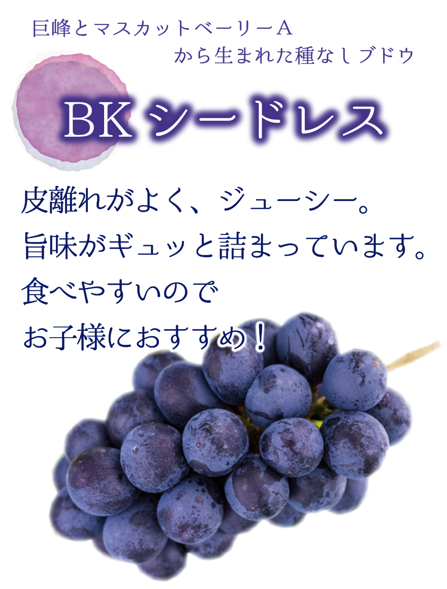 B-2 [家庭用 3～6房 (約2kg)] BKシードレス【9月中下旬～発送開始