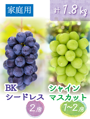 BS-2　[家庭用 計3～4房 (1.8kg)]　BKシードレス＆シャインマスカット【9月中下旬～発送開始】