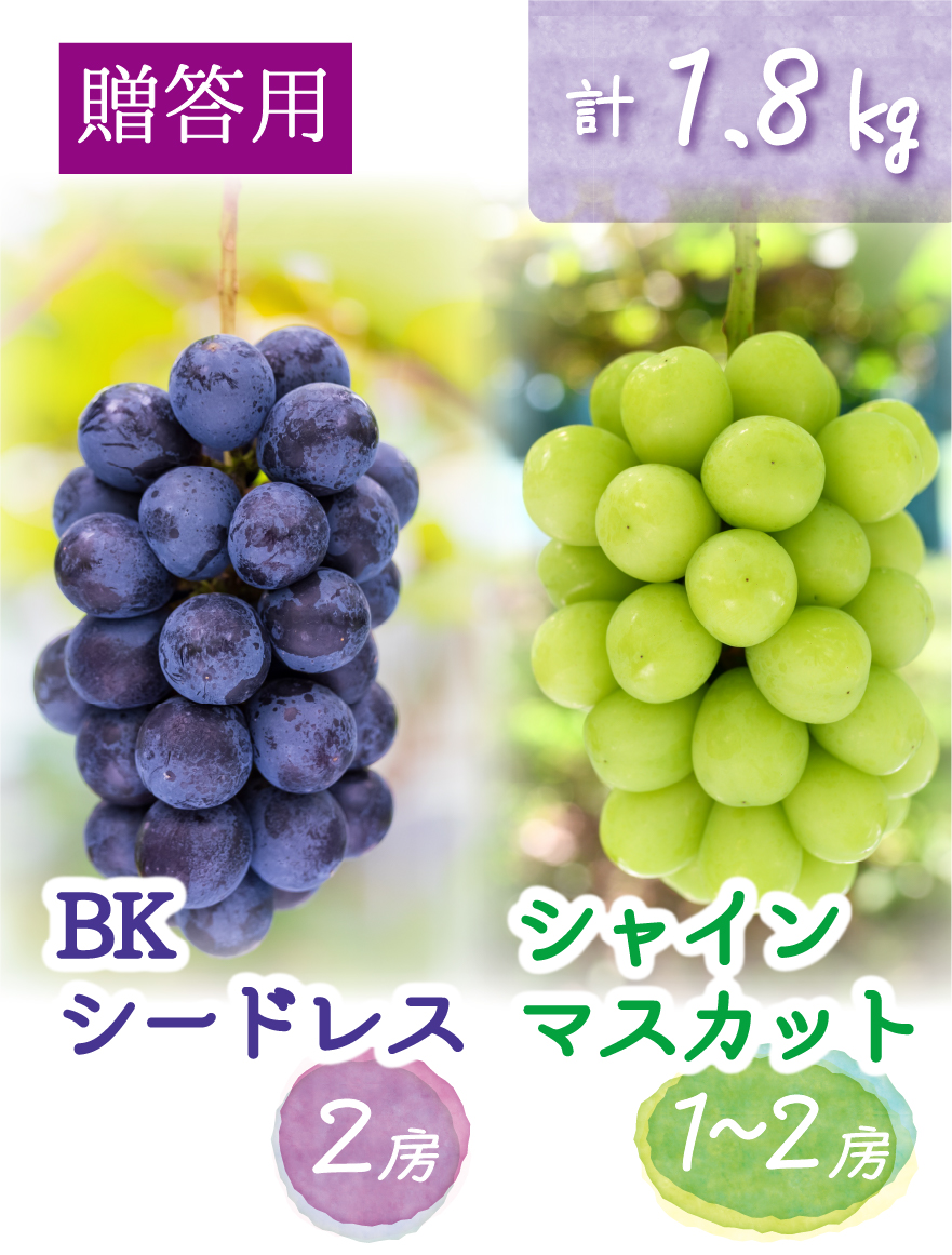 BS-2 [贈答用 計3～4房 (1.8kg)] BKシードレス＆シャインマスカット【9