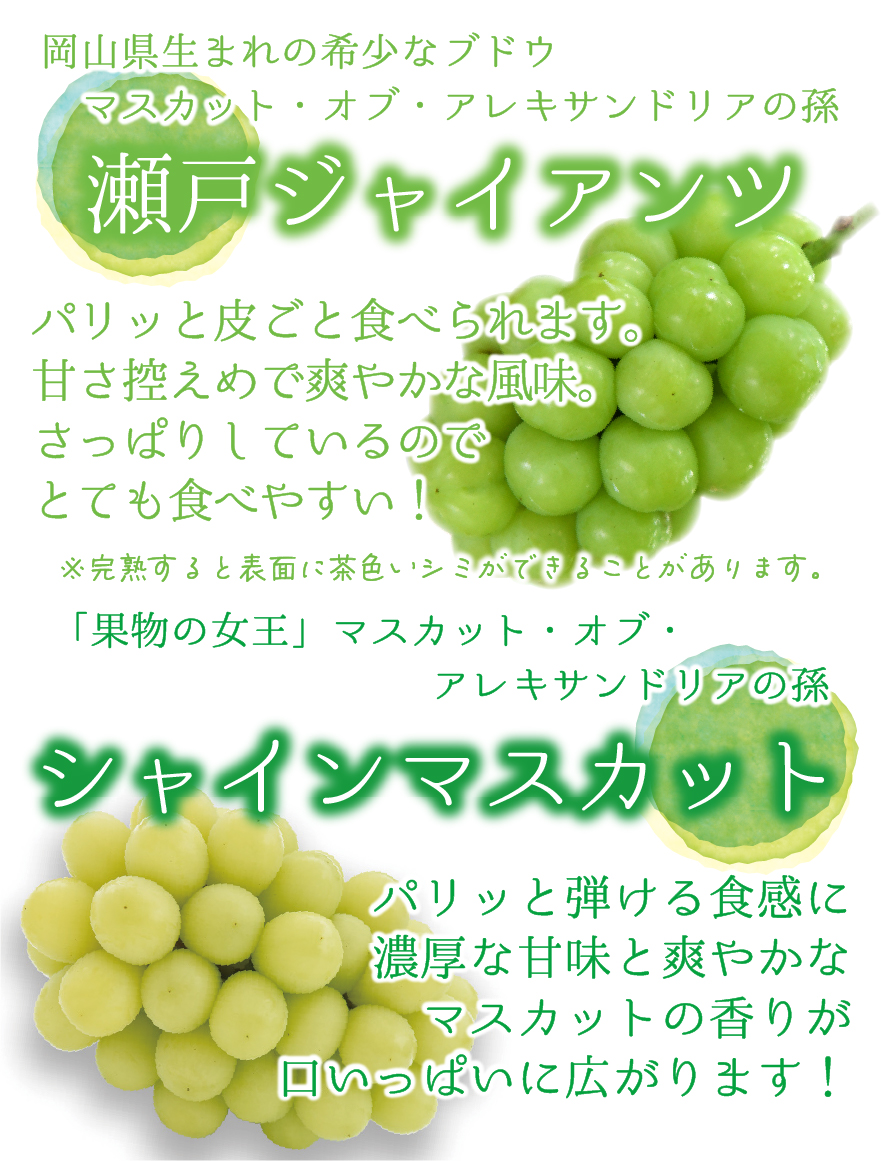 シャインマスカット〜 業務用フルーティス リンゴ酢シャインマスカット 1L: ノンアルコール