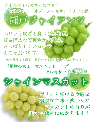 GS-1 [優品 計2房 (1kg)] シャインマスカット&瀬戸ジャイアンツ【9月