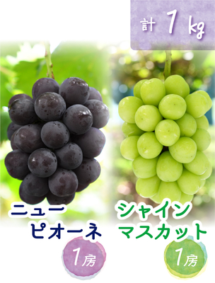 PS-1　[少量用1kg]　人気2種ミックス【9月中下旬～発送開始】（おすすめ第1位）｜花笑み農園