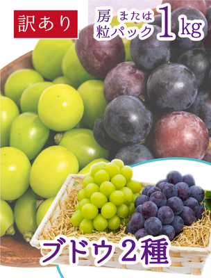 W2M-1　[訳あり1kg]　ブドウ2種