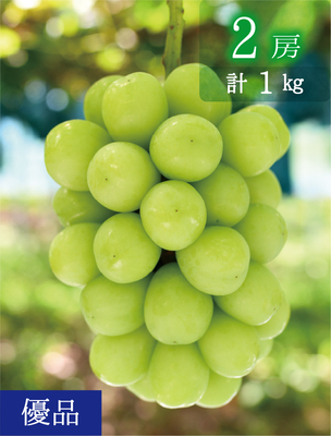 S-1　[少量用1kg]　シャインマスカット【9月中下旬～発送開始】（おすすめ第6位）｜花笑み農園