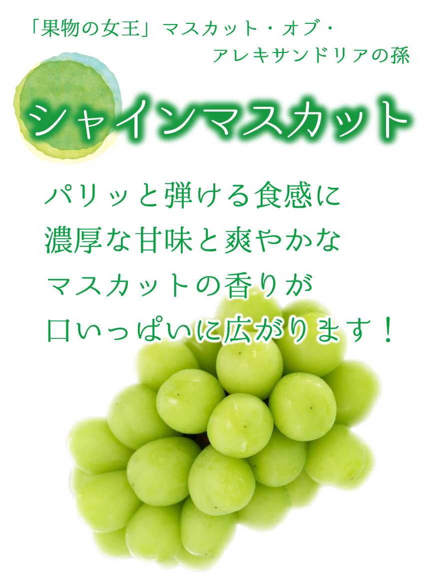 4M-2 [贈答用 計4房 (2kg)] 食べ比べ4種ミックス【9月中旬～発送開始