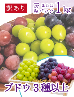 W3M-1　[訳あり1kg]　ブドウ3種以上