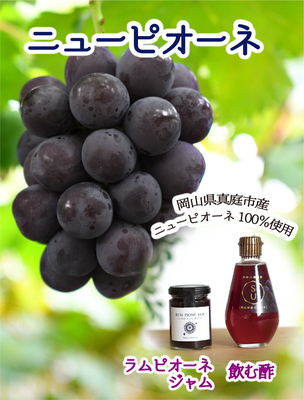 ニューピオーネ＆ラム・ピオーネジャム＆果実の飲む酢　【9月上旬～発送開始】