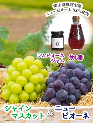 花笑みセット『ピオーネ＆シャイン＆ラム・ピオーネジャム＆果実の飲む酢ピオーネ』　【9月下旬～発送開始】