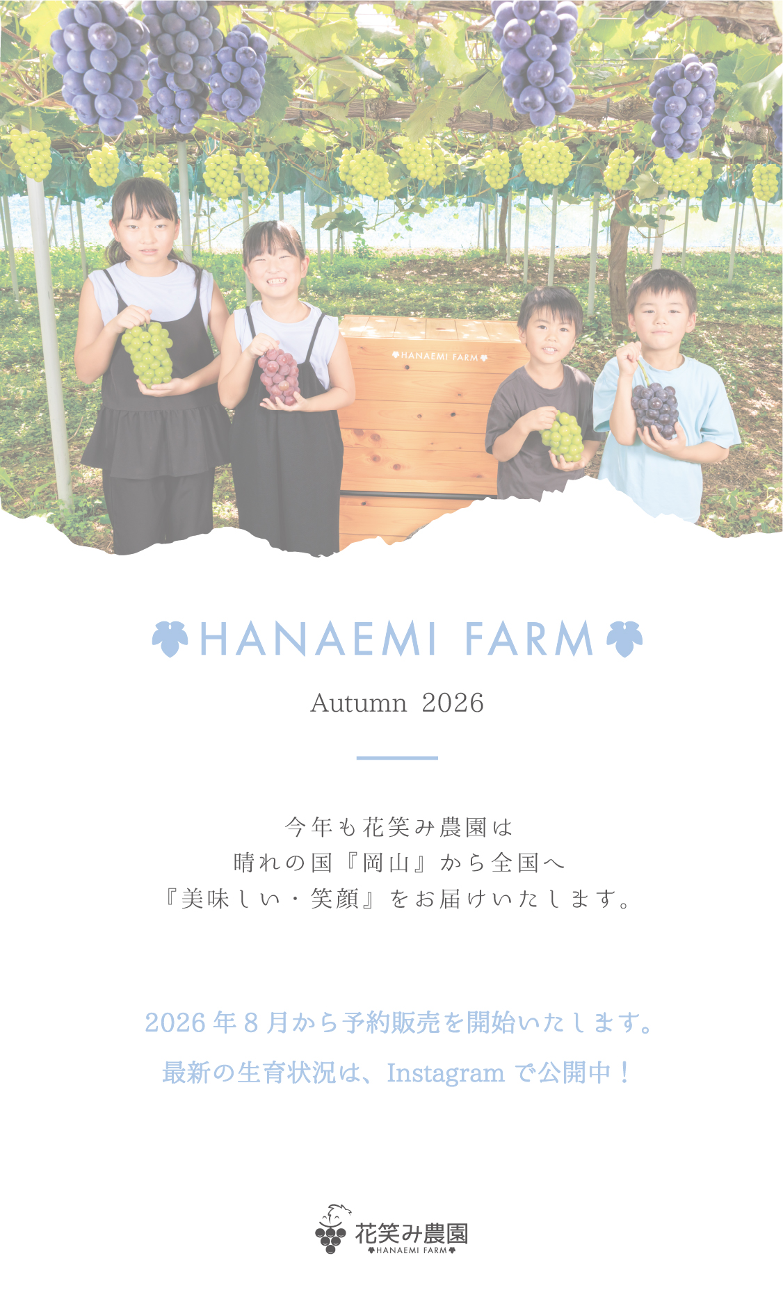 岡山県真庭市 花笑み農園 シャインマスカット 通販 産地直送 高級ぶどう