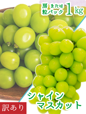 WS-1　[訳あり1kg]　訳ありシャインマスカット【9月中下旬～発送開始】