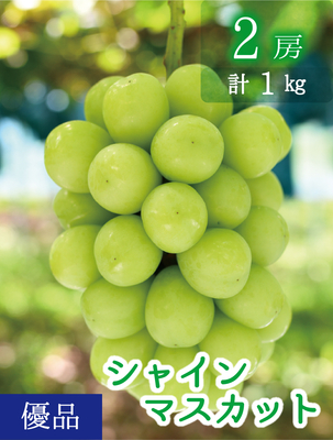 S-1　[優品 2房 (1kg)]　シャインマスカット【9月中下旬～発送開始】（おすすめ第6位）｜花笑み農園