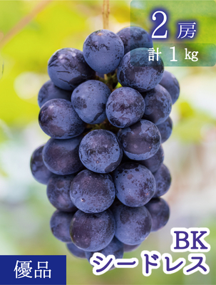 B-1　[優品 2房 (1kg)]　BKシードレス【9月中下旬～発送開始】（おすすめ第8位）｜花笑み農園