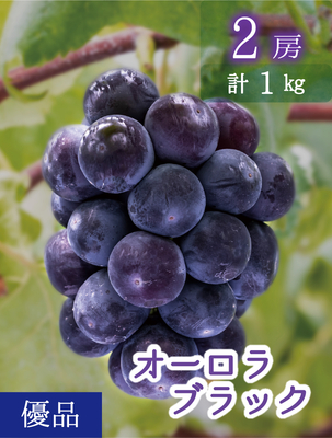 A-1　[優品 2房 (1kg)]　オーロラブラック【9月上旬～発送開始】