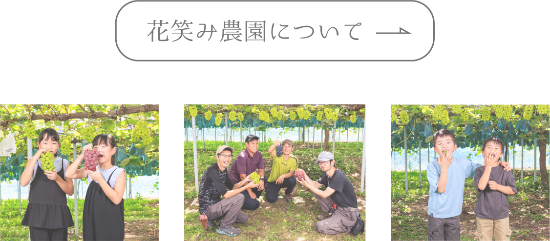 花笑み農園について｜岡山県真庭市のぶどう農園 シャインマスカット生産直売