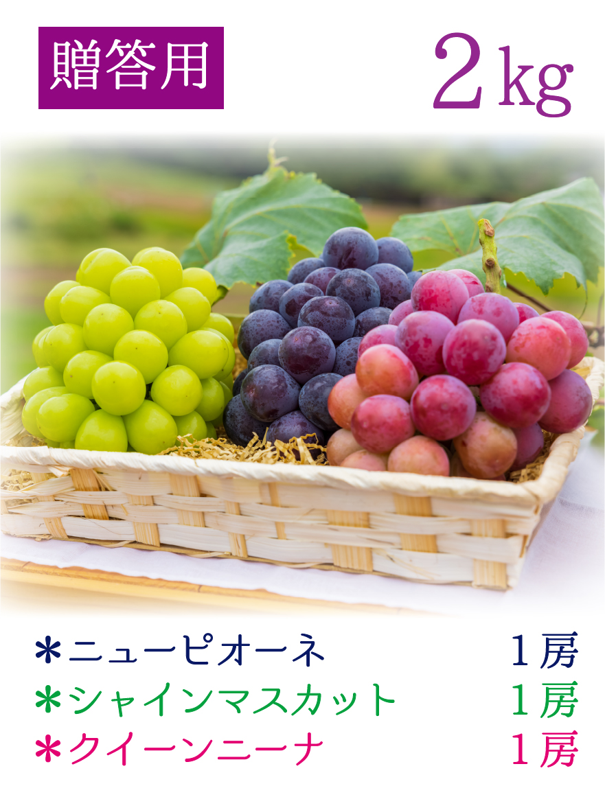 3M-2 [贈答用2kg] 彩り3種ミックス【9月中旬～発送開始】 | 花
