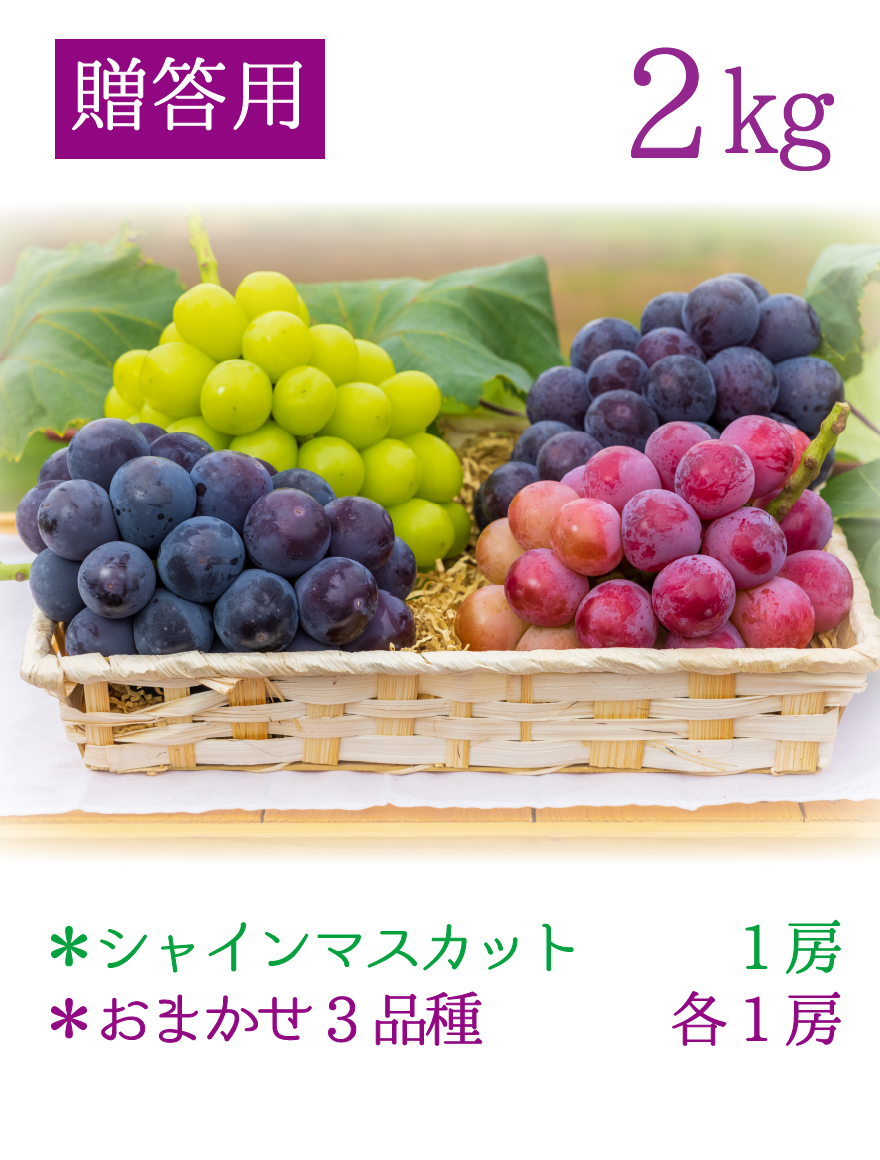 4M-2 [贈答用2kg] 食べ比べ4種ミックス 【9月中旬～発送開始