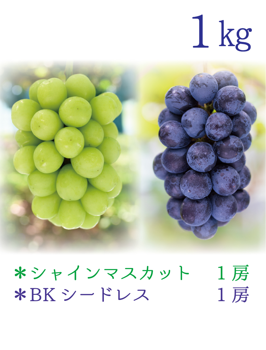 BS-1 [少量用1kg] 2種ミックス（BKシードレス＋シャインマスカット