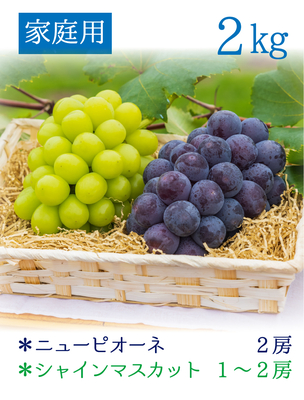 2種ミックス | 花笑み農園