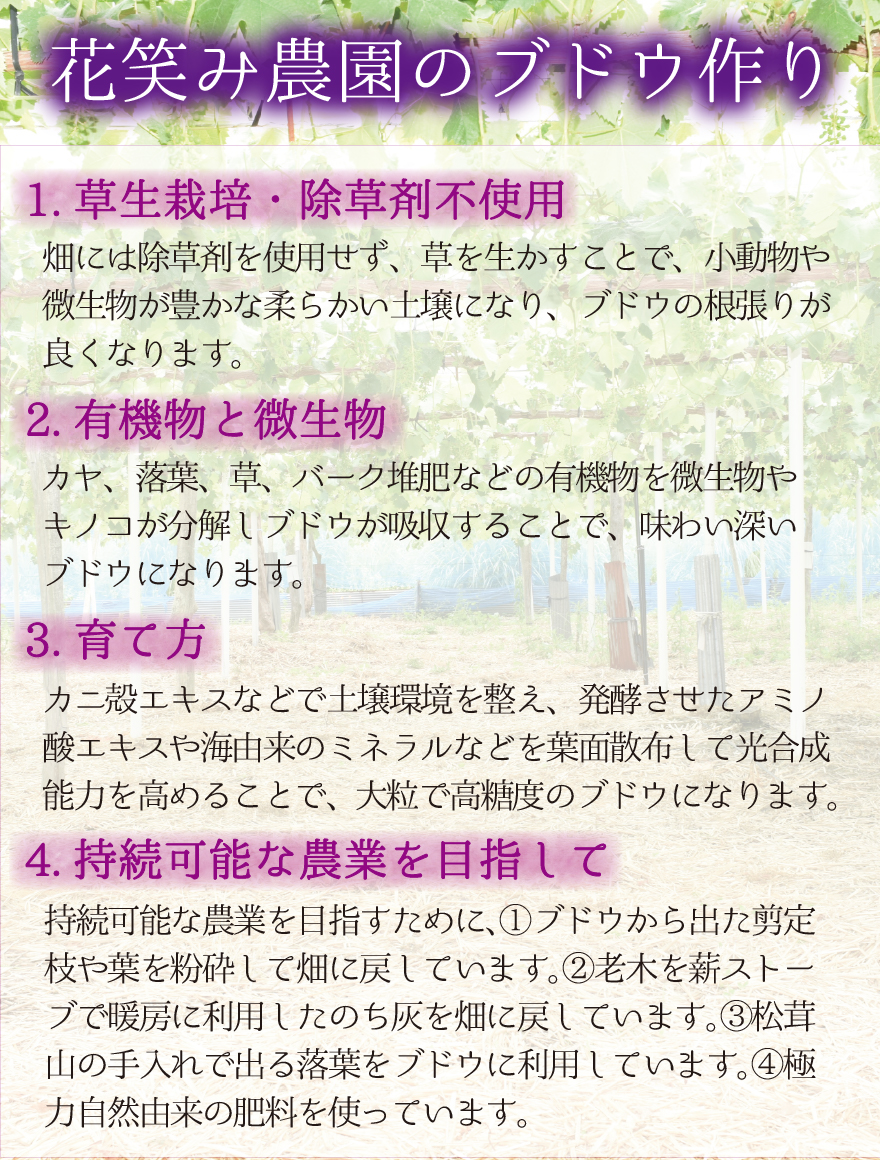 瀬戸農地に欲しいもの注文 新作グッ 瀬戸農地に欲しい物注文ページ （瀬戸農地に欲しい物
