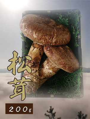 岡山県産 国産松茸 300g | 業務仕入・見積なら食品卸売の生鮮