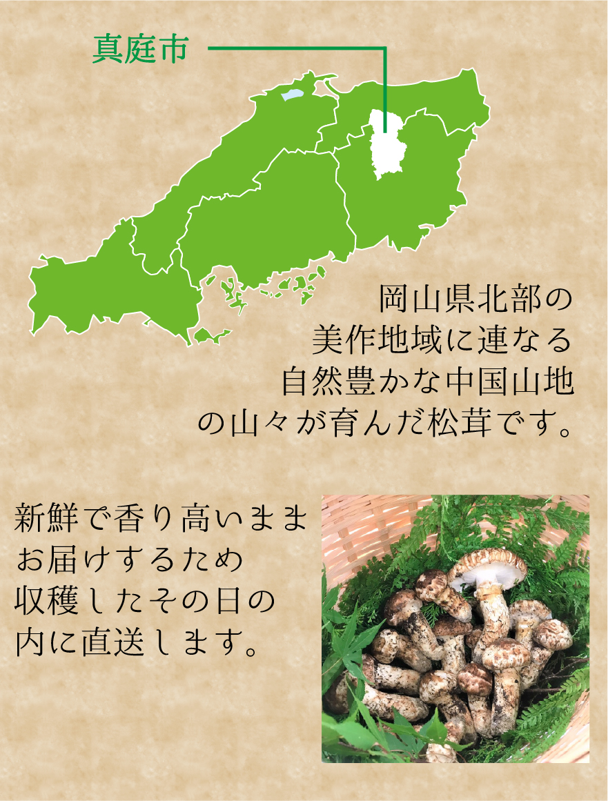 岡山からニューピオーネをお届けいたします。 | 花笑み農園