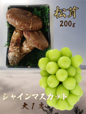 松茸 | 花笑み農園