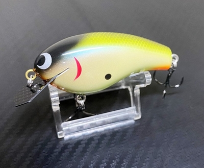 ナッシュビーS65 TYPE-R