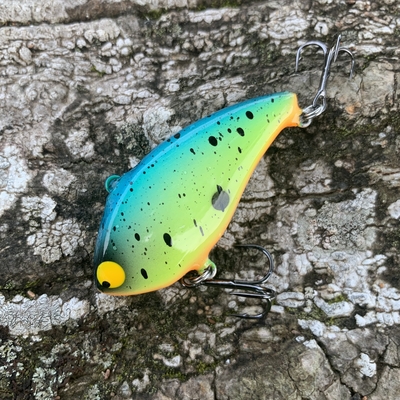 シャローブランカ