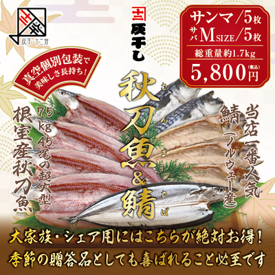 【根室産サンマ 5枚・サバM5枚 計10枚セット】灰干し・十二分　