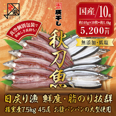 【根室産サンマ 10枚セット】灰干し・十二分　