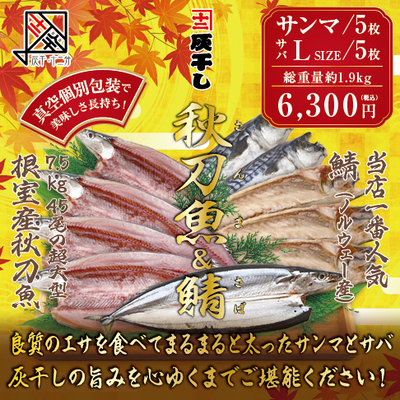 【根室産サンマ 5枚・サバL5枚 計10枚セット】灰干し・十二分　