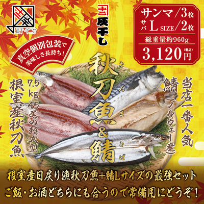 【根室産サンマ 3枚・サバL2枚 計5枚セット】灰干し・十二分　