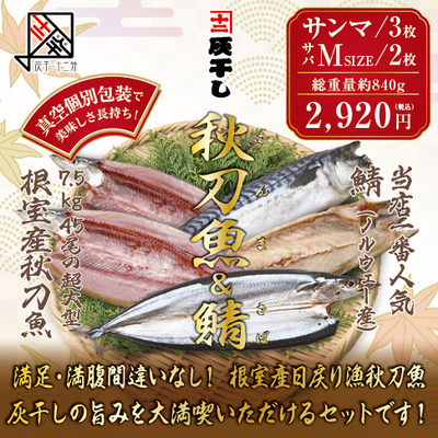 【根室産サンマ 3枚・サバM2枚 計5枚セット】灰干し・十二分　