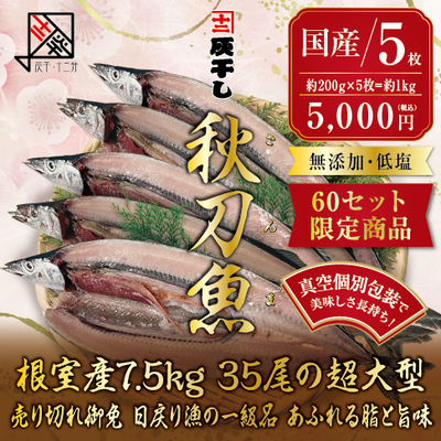 限定商品【根室産サンマ 5枚セット】灰干し・十二分　