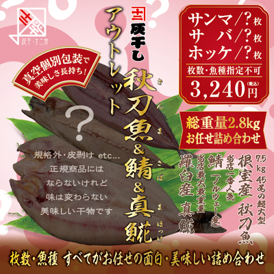 アウトレット【根室産サンマ・サバ・羅臼産ホッケ 計約2.8kgセット】灰干し・十二分　