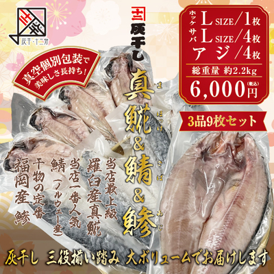 灰干し　真ホッケ（羅臼産）Lサイズ1枚・サバLサイズ4枚・国産アジ4枚　9枚セット