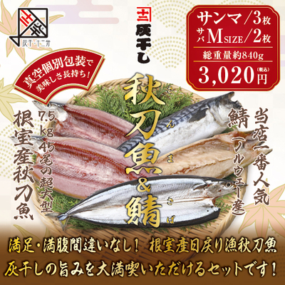 【根室産サンマ 3枚・サバM2枚 計5枚セット】灰干し・十二分　