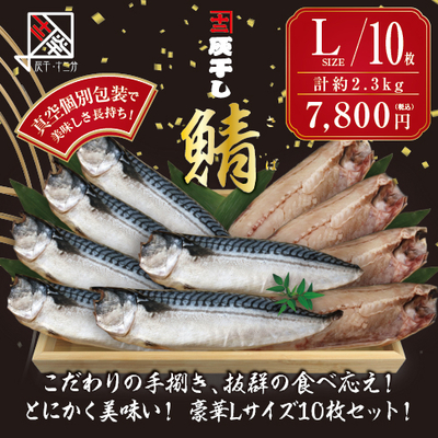 【サバ Lサイズ 10枚セット】灰干し・十二分　