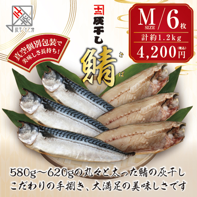 【サバ Mサイズ 6枚セット】灰干し・十二分　