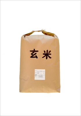 新潟県産コシヒカリ　玄米【10㎏】令和7年産　