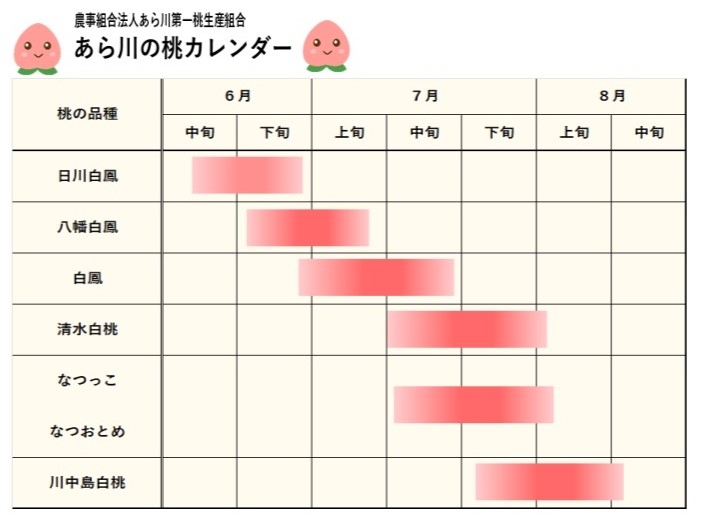 特選大箱 13玉入 (約4㎏) | あら川第一桃生産組合