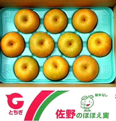  梨(幸水)　5㎏