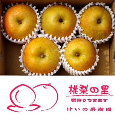 梨(幸水)　2㎏